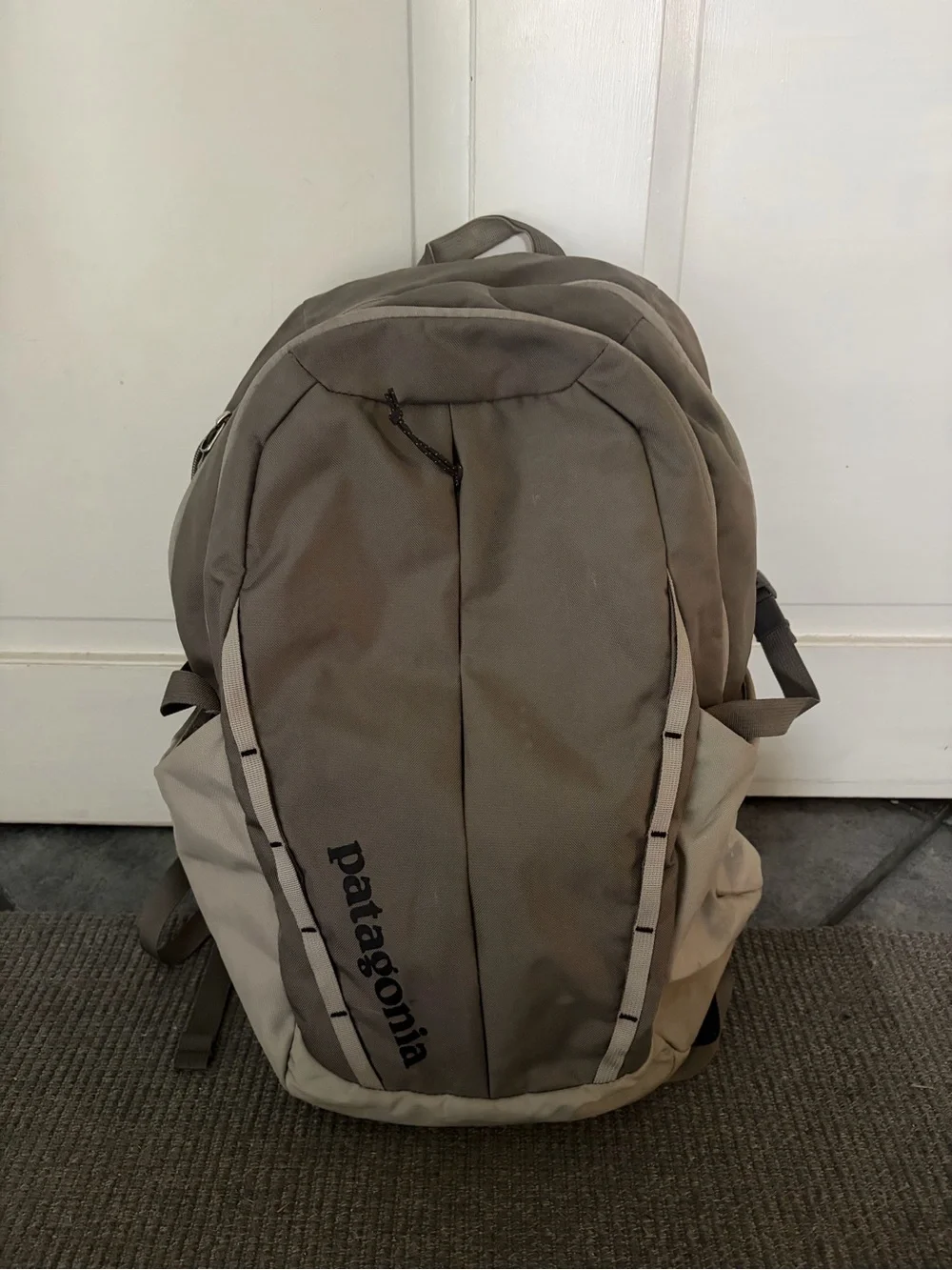 Patagonia Backpack 30L